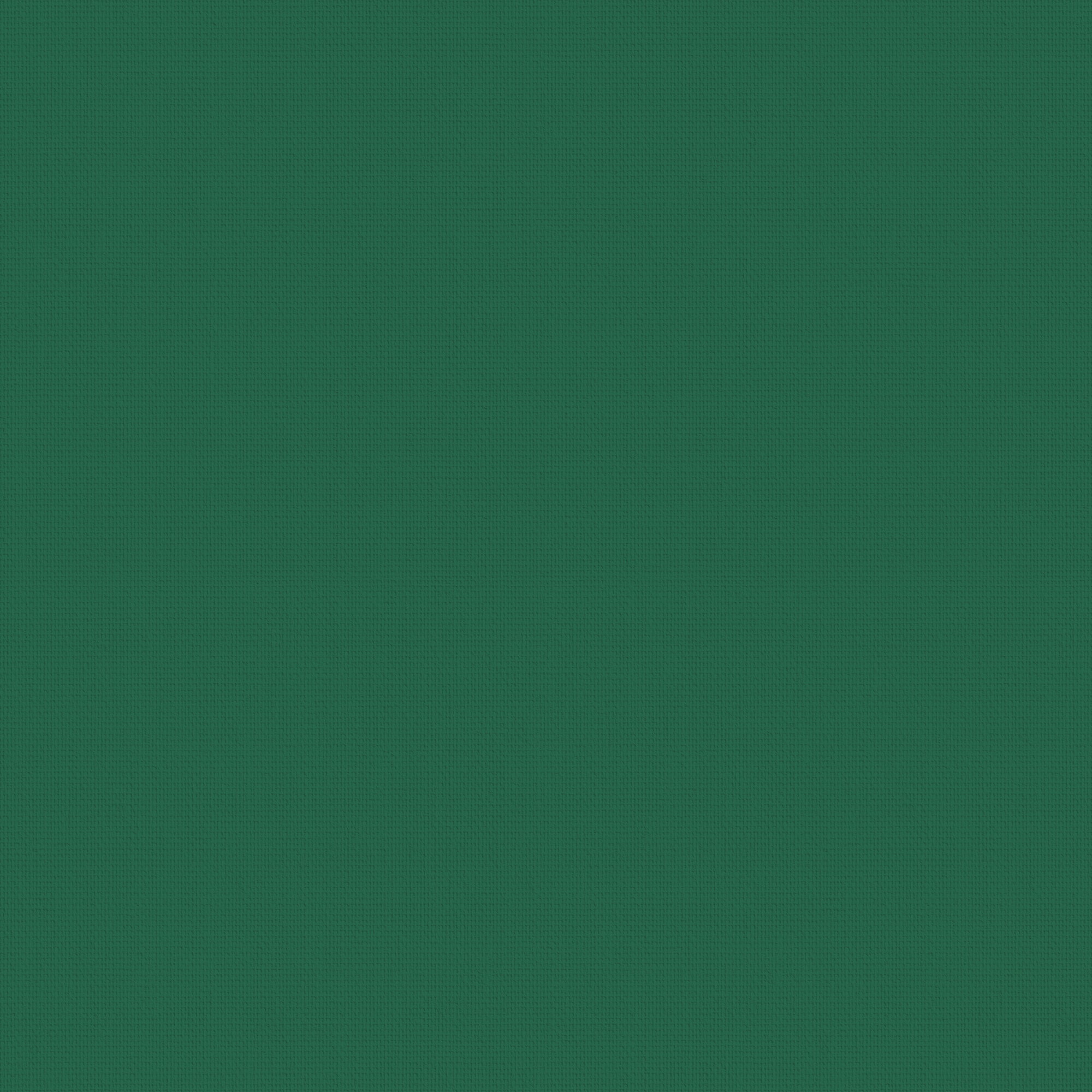 Bella Cacti 89mm Louvre