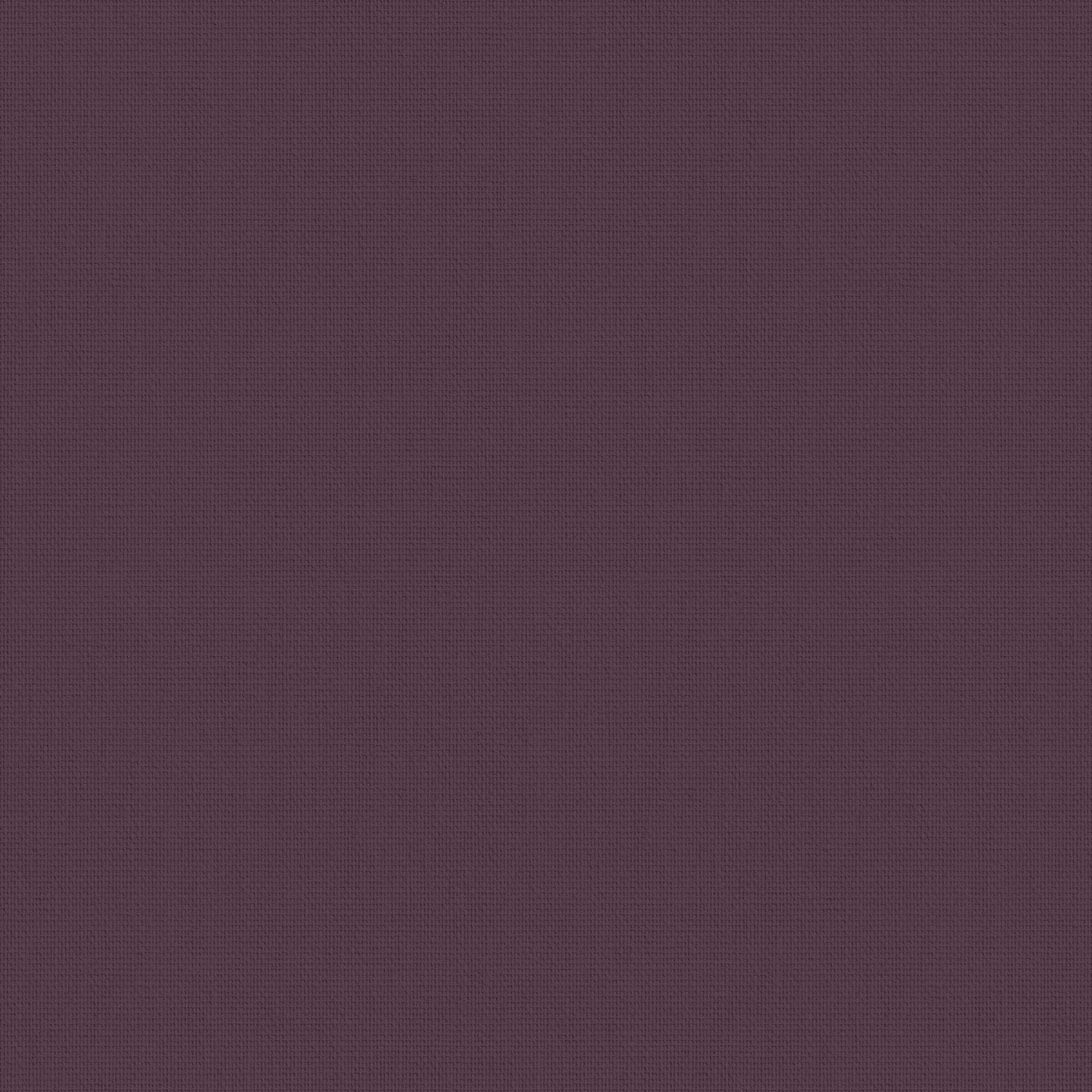 Bella Boujee 2.0mt Roller