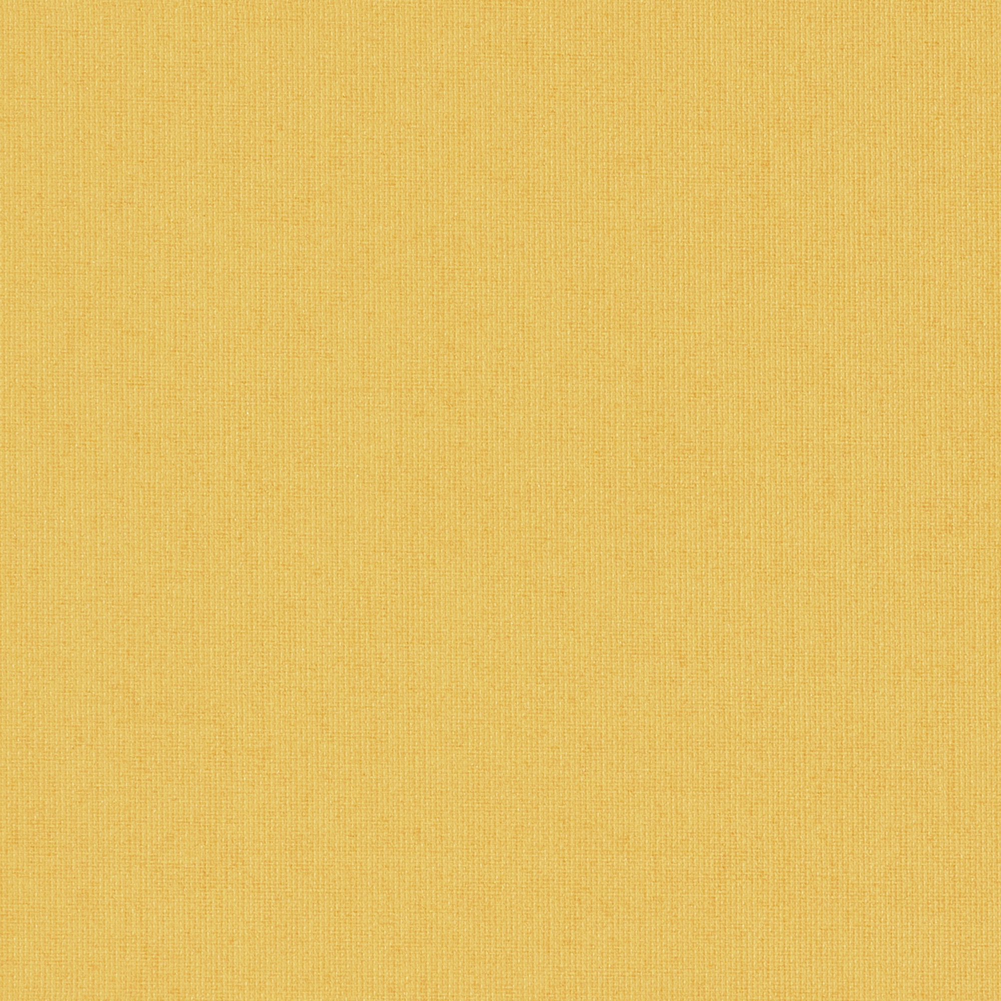 Bella Shine 2.0MT Roller